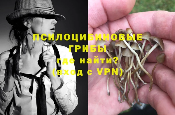 спиды Алзамай