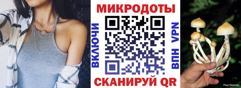 Псилоцибиновые грибы мицелий  где найти   Губкин 