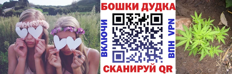 Бошки марихуана тримм  KRAKEN ссылки  Губкин 